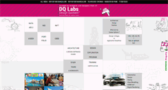 Desktop Screenshot of dqlabs.in